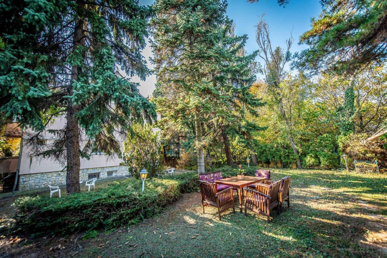 Korona Panzio Bed & Breakfast